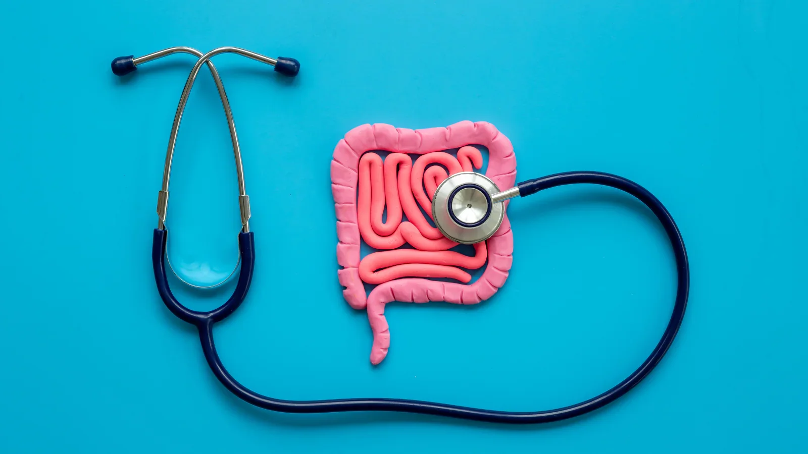 Are Digestive Enzyme Formulas the Key to Better Digestion?